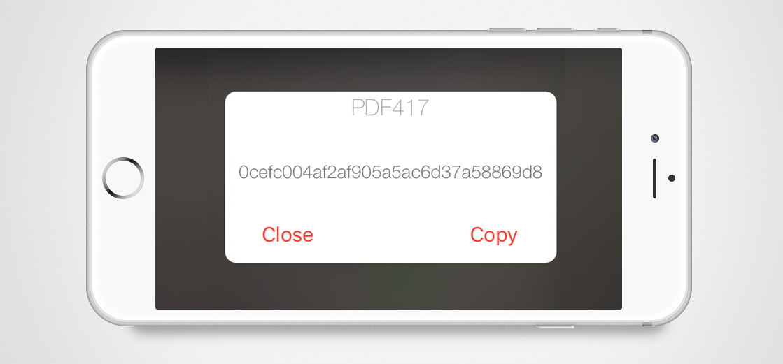 digital fingerprint scan